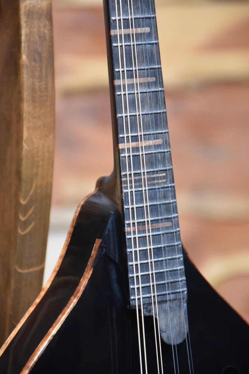 Blades Mandolin 4