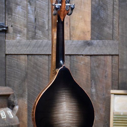 Blades Mandolin Back