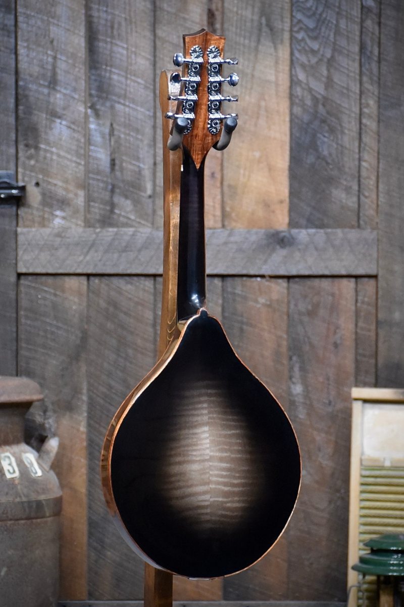 Blades Mandolin Back