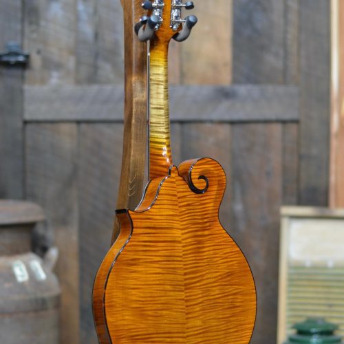 NFB F5AWN AMBER TWO PIECE BACKback